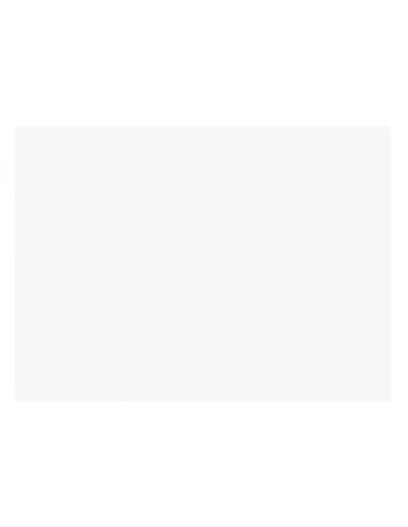 CARTUL. BRISTOL 150GR A4 BLANCO X 10