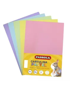 CARTUL. PASSOLA IRIS A4 5COL PASTEL X 10UNDS