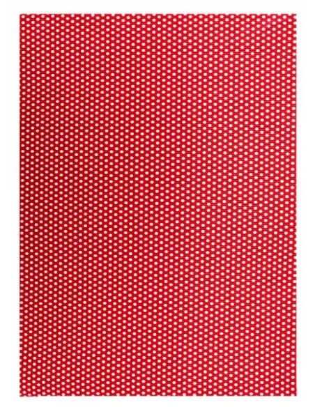 CARTUL. CORRUGADA PASSOLA DISEÑO 50X70CM POLKA ROJO (1)