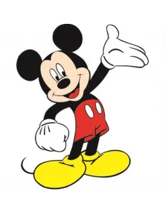 FORRO P/COUCHE MICKEY FGD-065