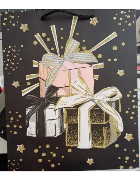 FUNDA REGALO V/DISEÑOS 20X30X16CM FDA209P