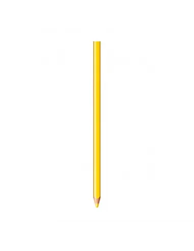 LAPIZ BIC EVOLUTION SUPER SOFT X 12 COLORES GRATIS SACAP