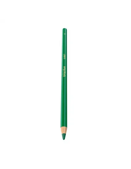LAPIZ BIC EVOLUTION 4.0MM X12 COLORES
