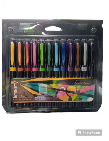 MARC. BIC INTENSITY 12COL REF. 9309535