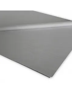 PAPEL SEDA PASSOLA 50X70CM PLATA X25