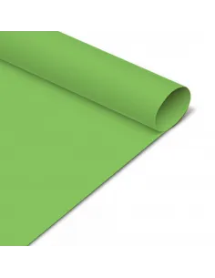 CARTUL. IRIS PASSOLA 50X70 CM 170GR VERDE CLARO