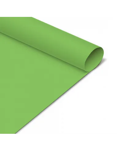 CARTUL. IRIS PASSOLA 50X70 CM 170GR VERDE CLARO