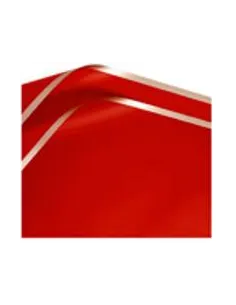 PAPEL PASSOLA COREANO ROJO/FILOS DORADOS 58X58CM A1-RED