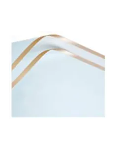 PAPEL PASSOLA COREANO CELESTE/FILOS DORADOS 58X58CM A1-LIGHT BLUE