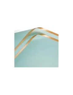 PAPEL PASSOLA COREANO VERDE CLARO F.DORADO 58X58CM A1-LIGHT GREEN