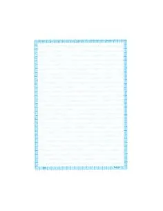 PLIEGO PAPELOGRAFO 2L 56 GR