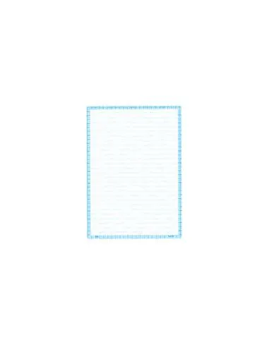 PLIEGO PAPELOGRAFO 2L 56 GR