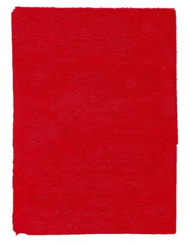 PLIEGO FOAMY CESPED 50X100 ROJO