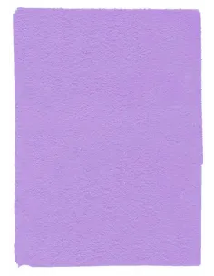 PLIEGO FOAMY CESPED 50X100 LILA