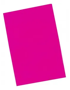PLIEGO FOAMY PASSOLA 60X90CM FUCSIA