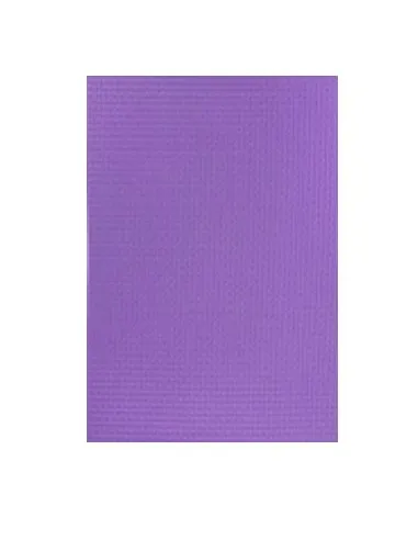 PLIEGO FOAMY 50X100 LILA