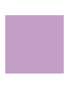 PLIEGO PAPEL IRIS  1 65X90 LILA