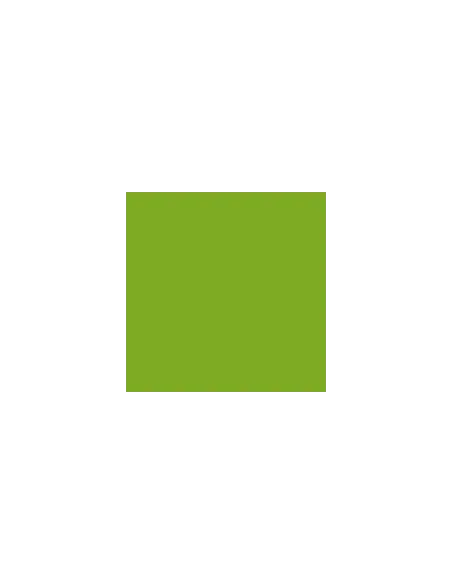 PLIEGO PAPEL IRIS  1 65X90 VERDE OSCURO