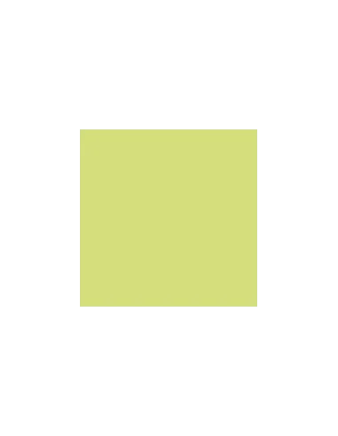 PLIEGO PAPEL IRIS  1 65X90 VERDE CLARO