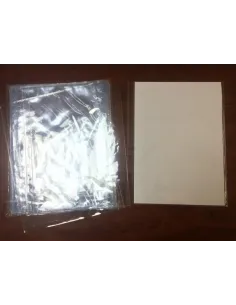 PROTECTOR PASSOLA HOJAS GRUESO X 10UND 120MC