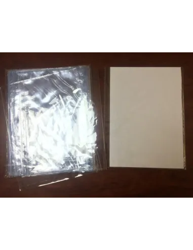 PROTECTOR PASSOLA HOJAS GRUESO X 10UND 120MC