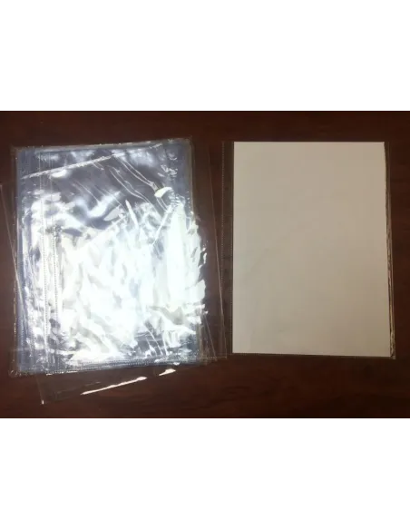 PROTECTOR PASSOLA HOJAS GRUESO X 10UND 120MC