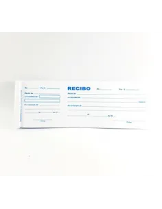 RECIBO ECONOMICO 21DO4031