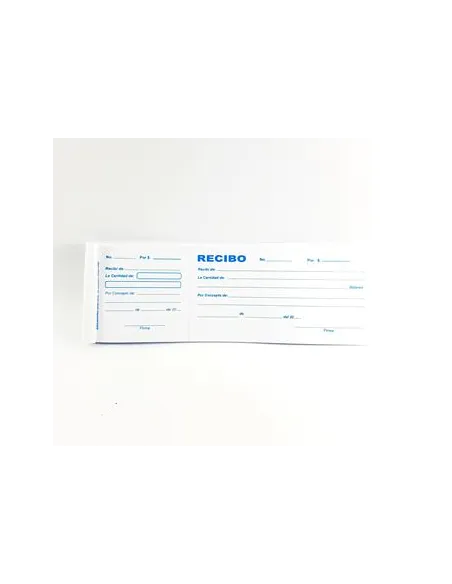 RECIBO ECONOMICO 21DO4031