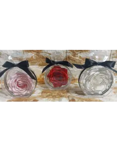 ROSA ETERNA EN FRASCO C/CINTA
